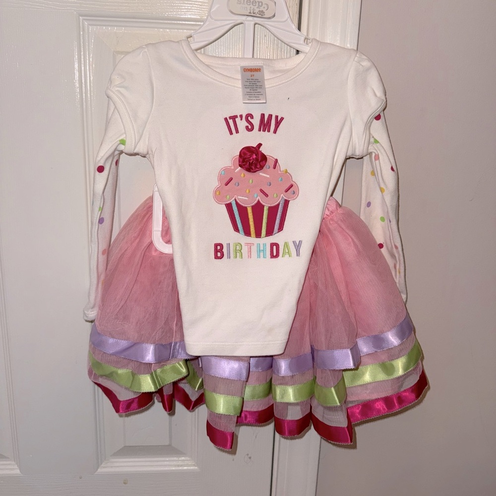 Gymboree Birthday Outfit 2T